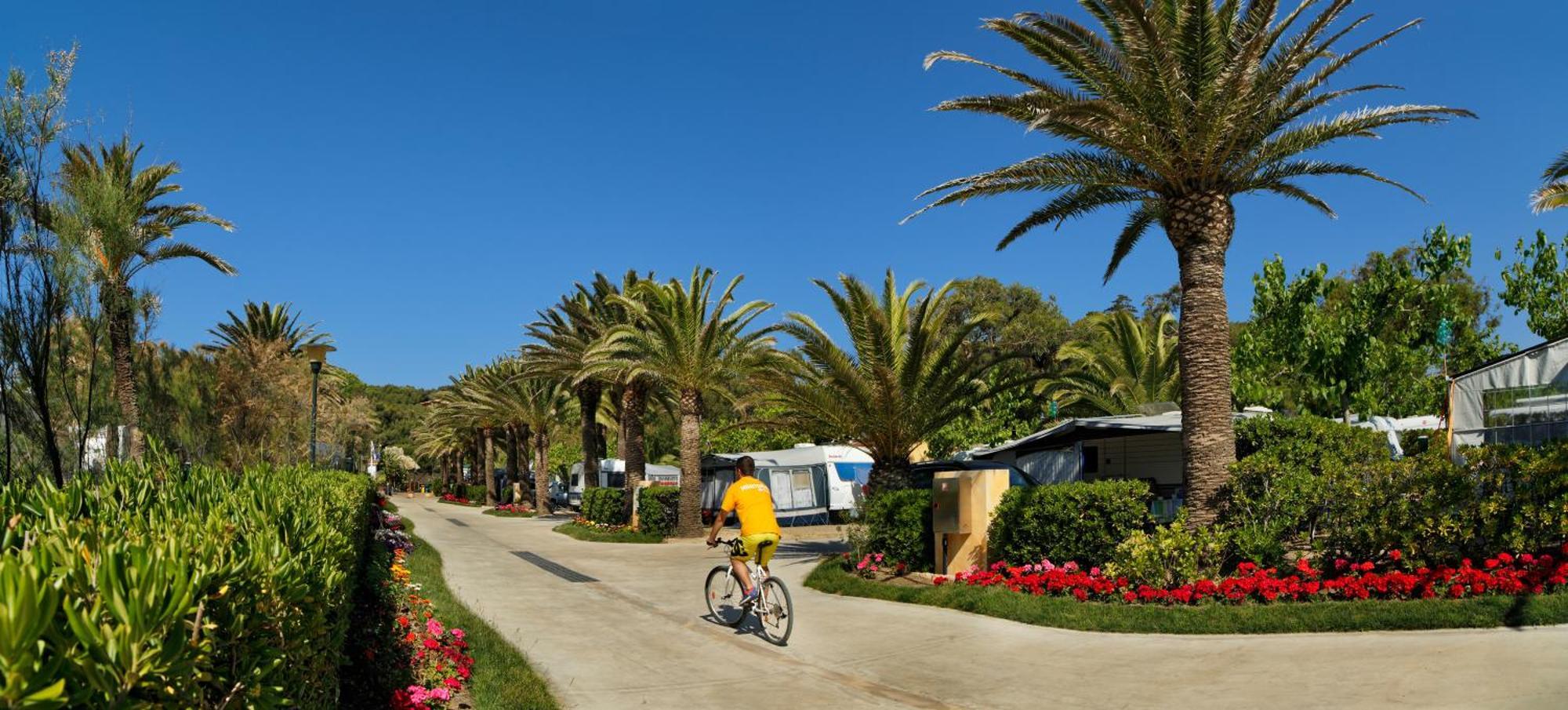 Tamarit Beach Resort